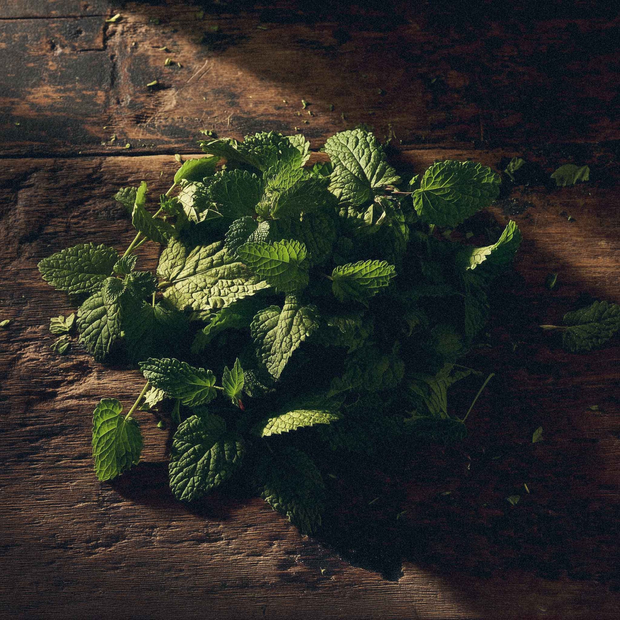Fresh green lemon balm leaves on a wooden surface